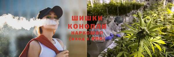 ГАЛЛЮЦИНОГЕННЫЕ ГРИБЫ Алексин
