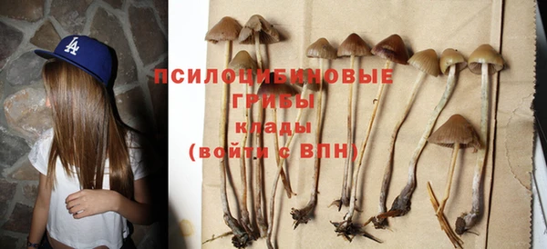 ГАЛЛЮЦИНОГЕННЫЕ ГРИБЫ Алексин