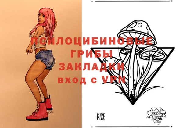 ГАЛЛЮЦИНОГЕННЫЕ ГРИБЫ Алексин